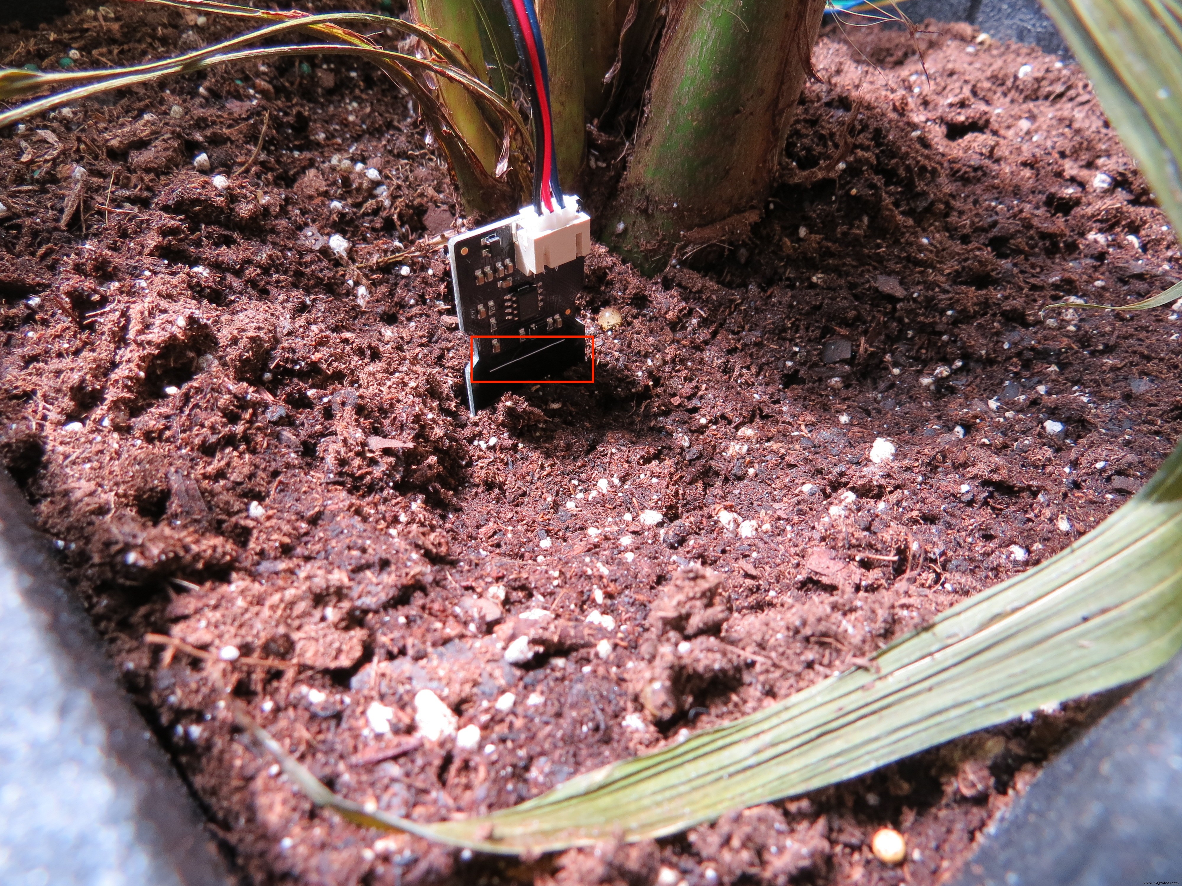 Automated Office Plant Watering System with Arduino, WiFi & IFTTT