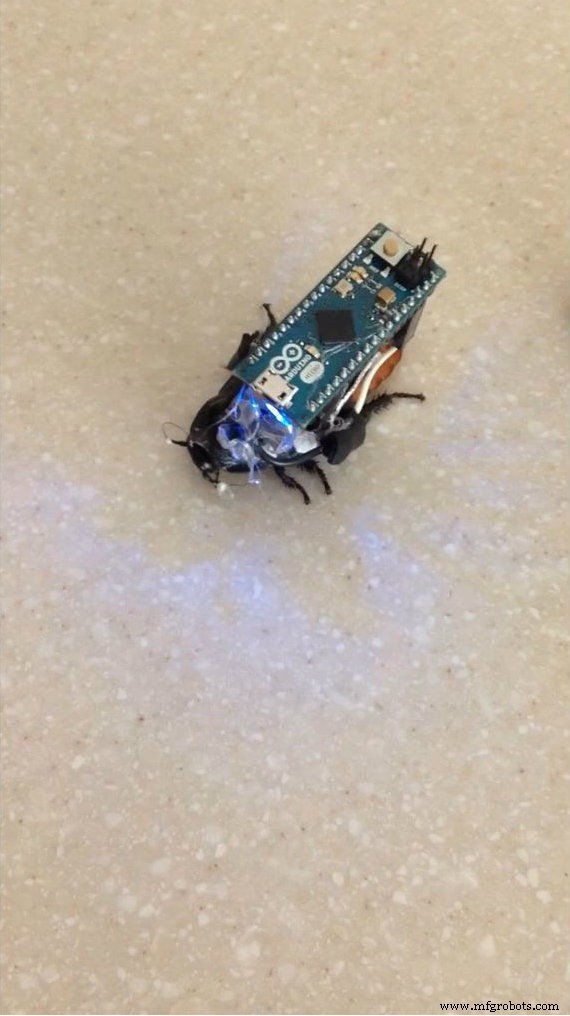 DIY Arduino Cockroach Control System – Build for Under $30