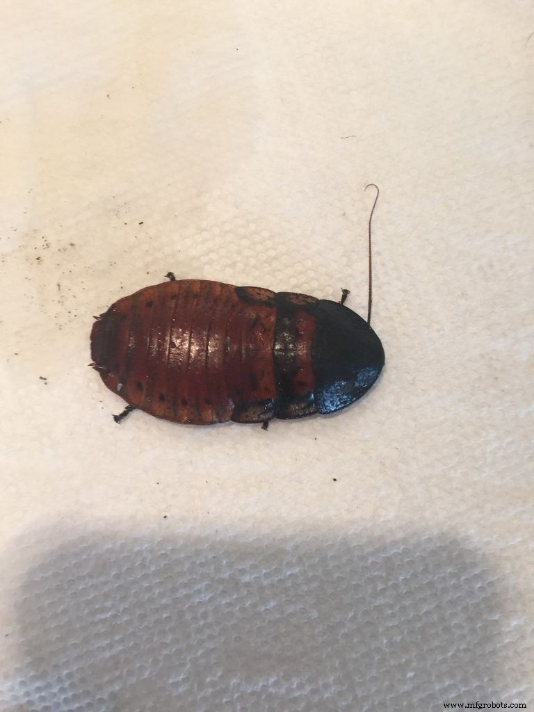 DIY Arduino Cockroach Control System – Build for Under $30