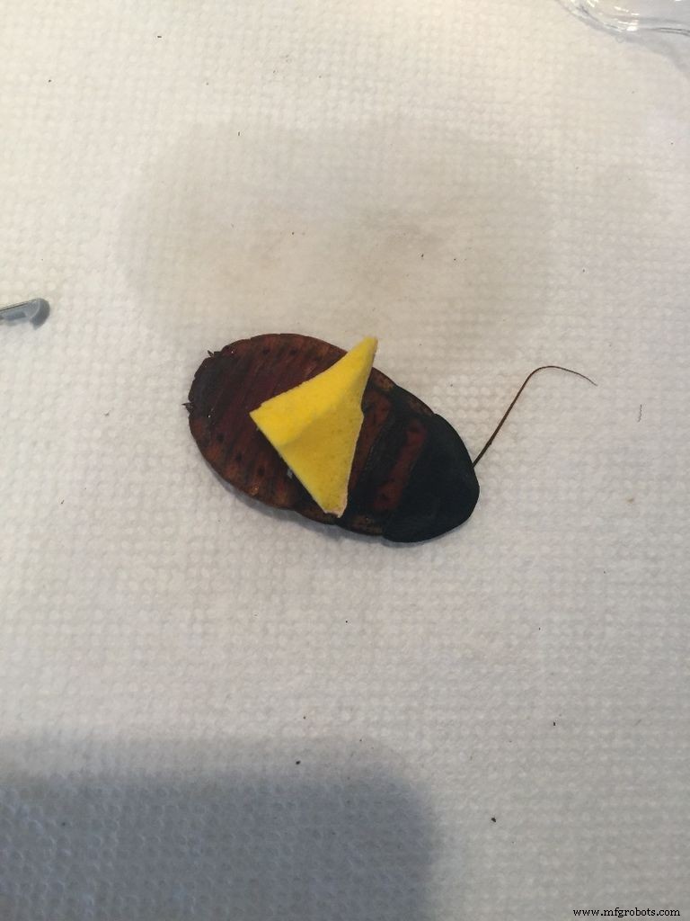 DIY Arduino Cockroach Control System – Build for Under $30