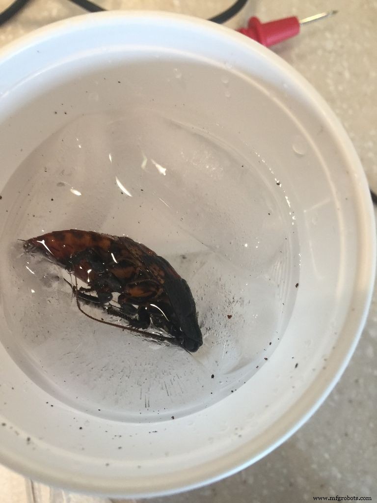 DIY Arduino Cockroach Control System – Build for Under $30