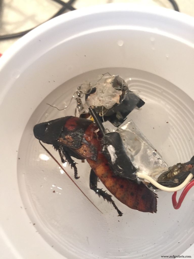 DIY Arduino Cockroach Control System – Build for Under $30