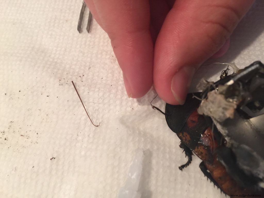 DIY Arduino Cockroach Control System – Build for Under $30