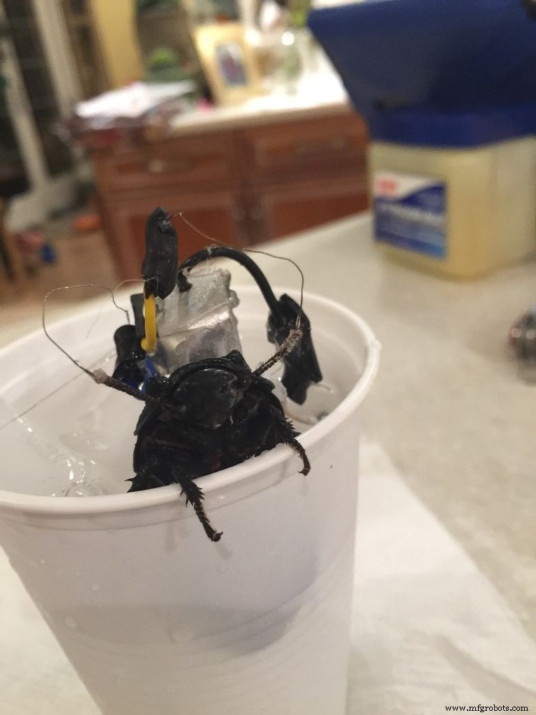 DIY Arduino Cockroach Control System – Build for Under $30