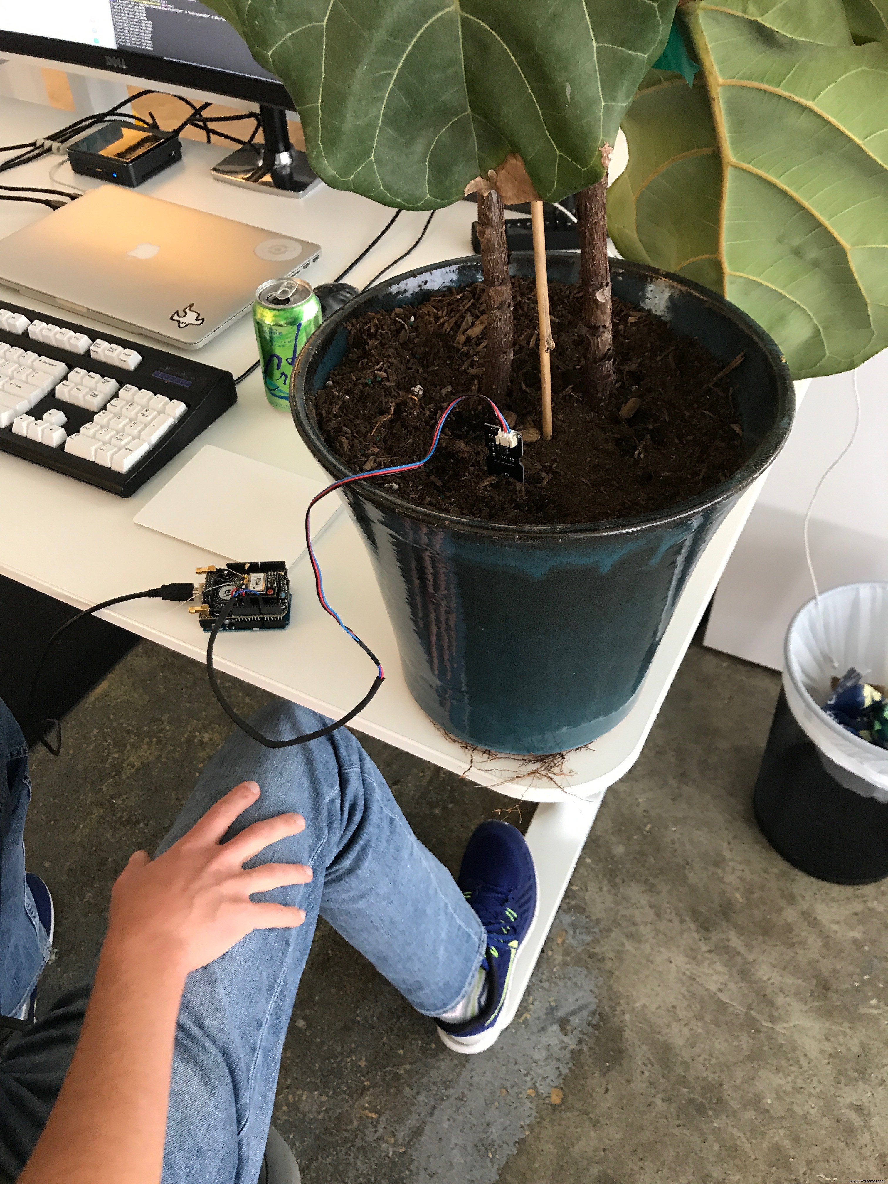 Wireless Soil Moisture Sensor System with Helium & DFRobot – Real‑Time Plant Care