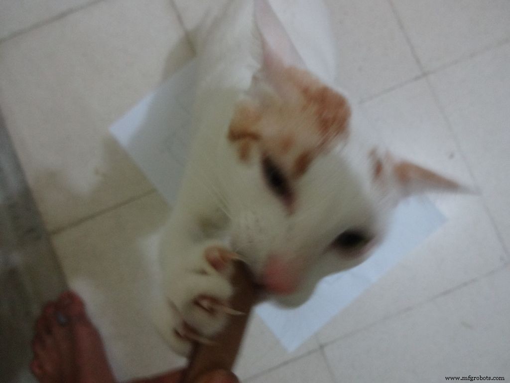 Arduino Nano Companion Kit – Essential Components & Tools for DIY Electronics