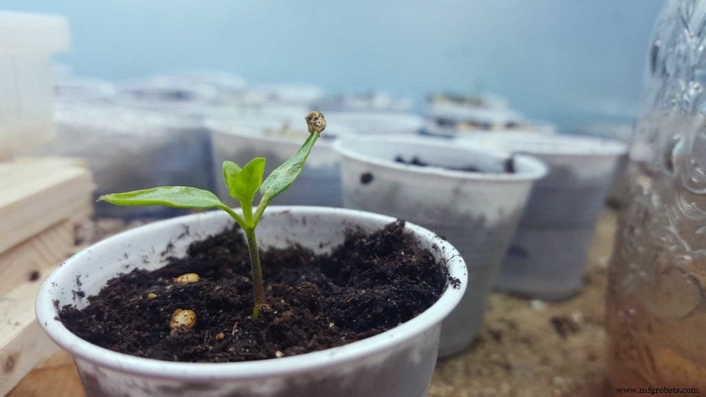 Arduino-Driven GrowBox Controller – Open-Source Firmware & Hardware Guide