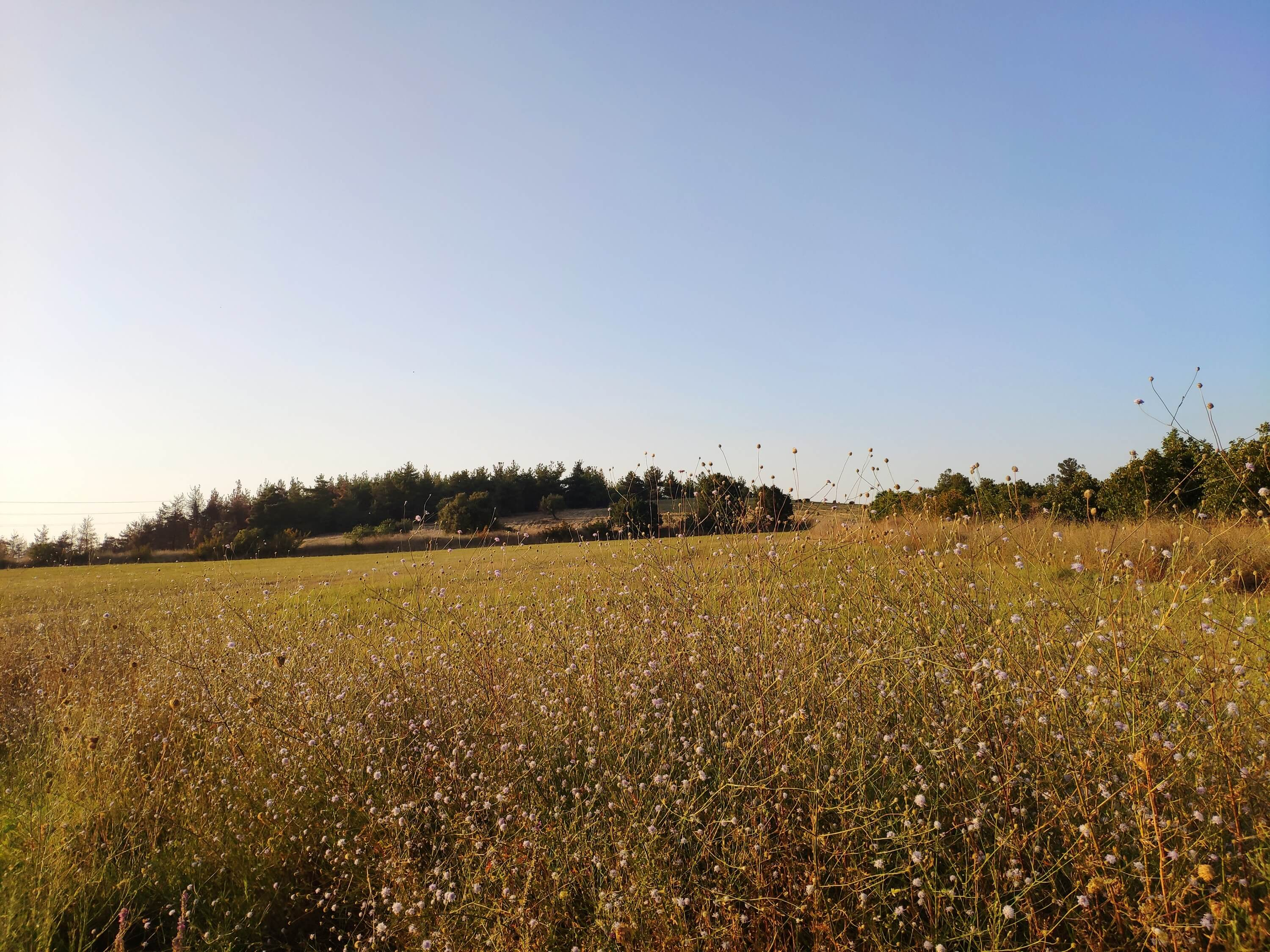 TensorFlow-Powered IoT Weather Station Accurately Predicts Rainfall Intensity