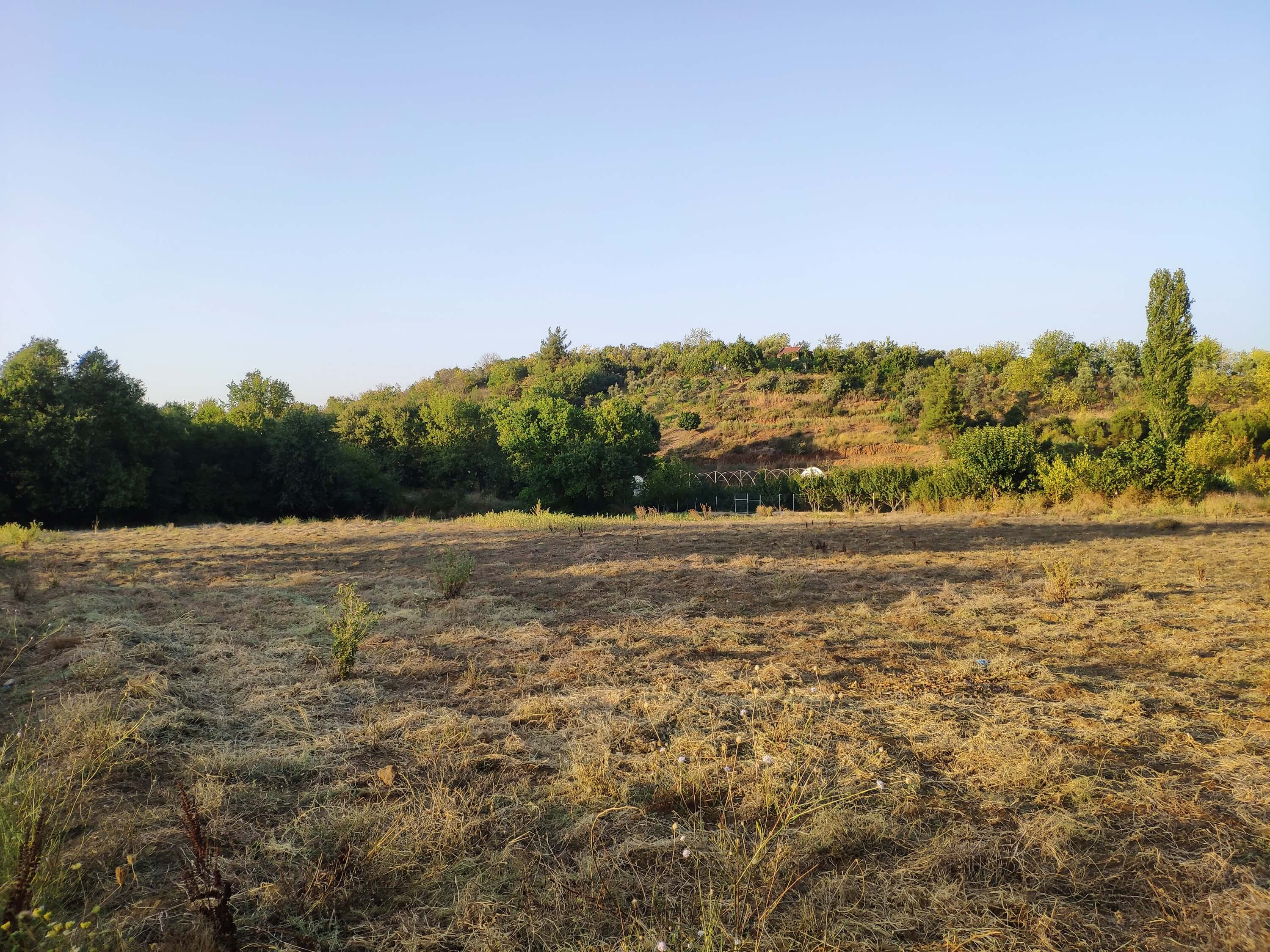 TensorFlow-Powered IoT Weather Station Accurately Predicts Rainfall Intensity