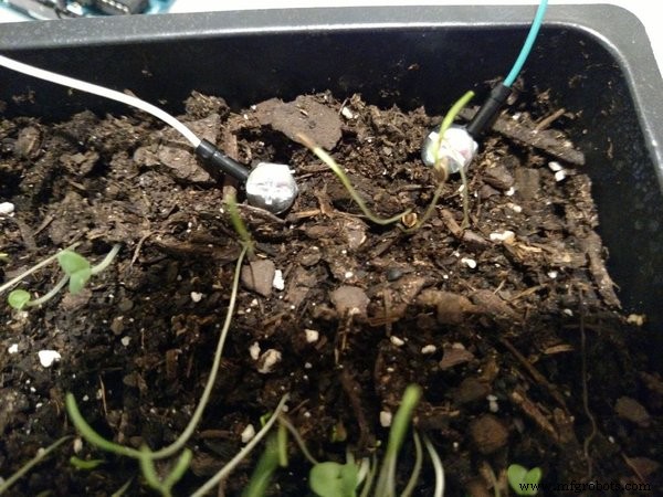 Build a Reliable DIY Plant Moisture Sensor with Arduino UNO