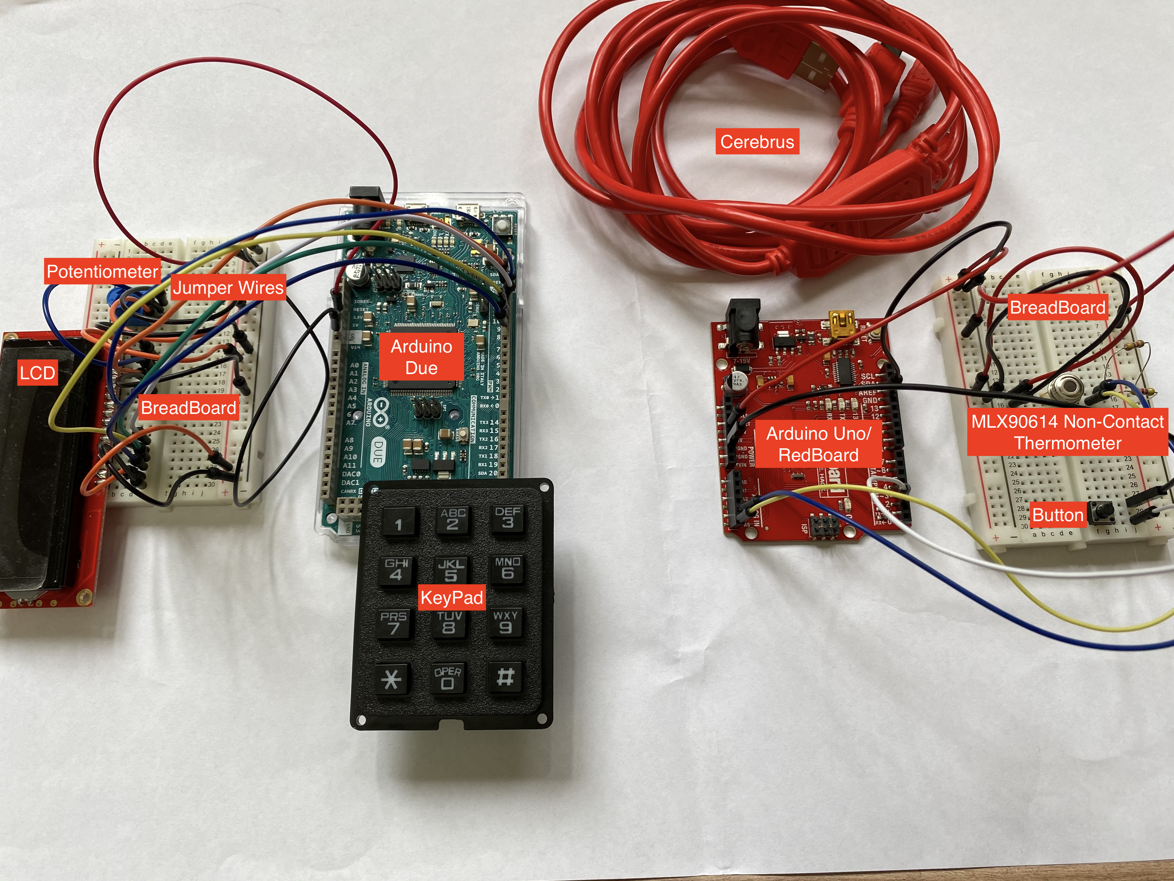 COVID-19 Detector: Responding to the Crisis with Innovative Technology