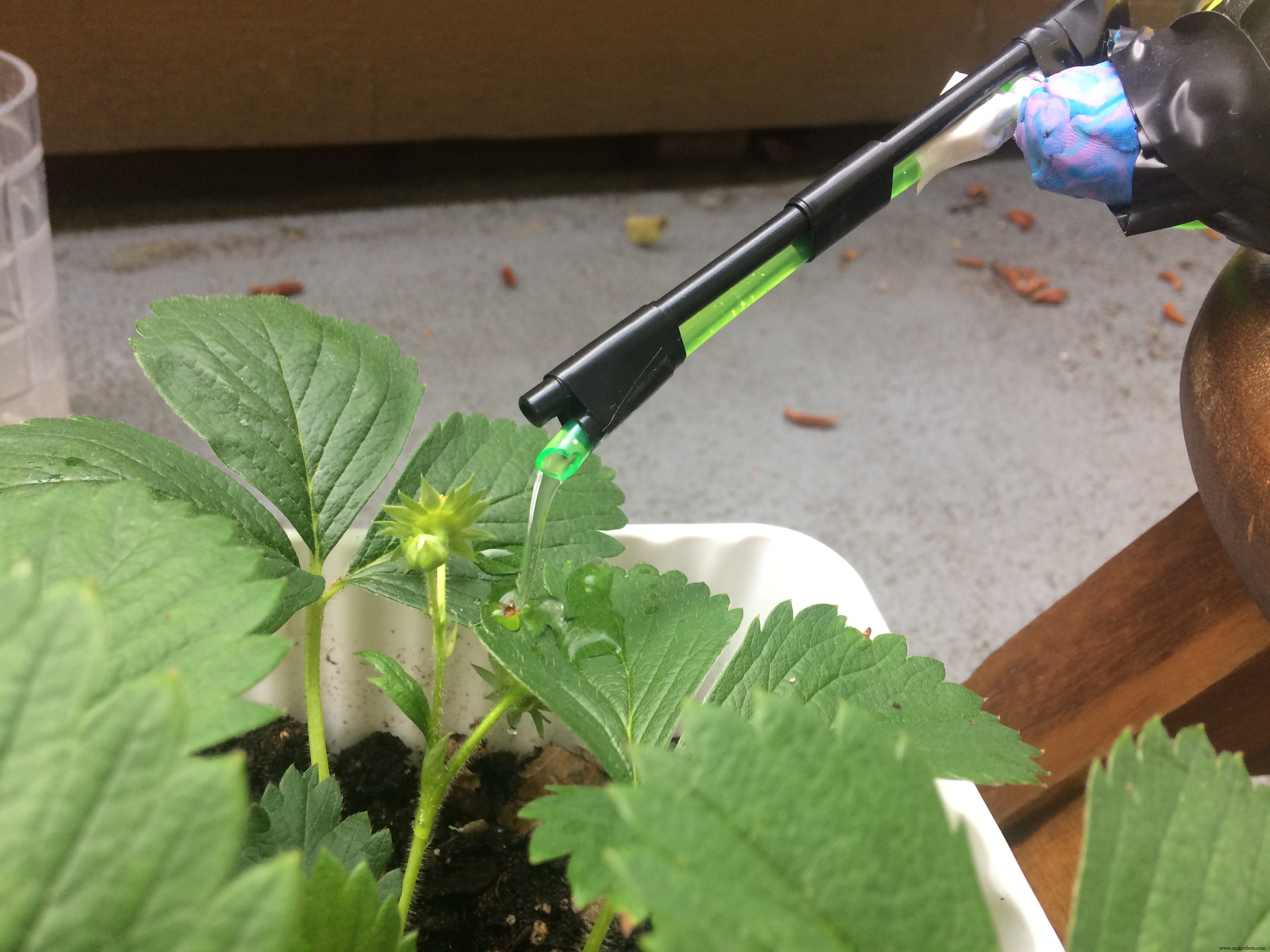 Smart Urban Plant Watering System: Sensor-Driven Automated Hydration