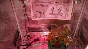 HydroMazing Smart Garden System: Advanced IoT Plant Care