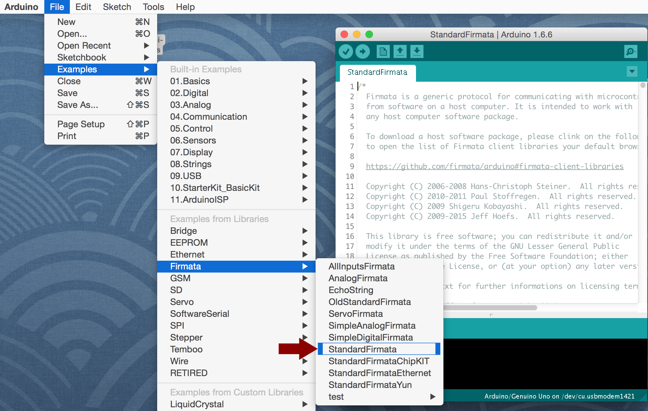 WaterPi: Intelligent Remote Watering & Monitoring for Houseplants