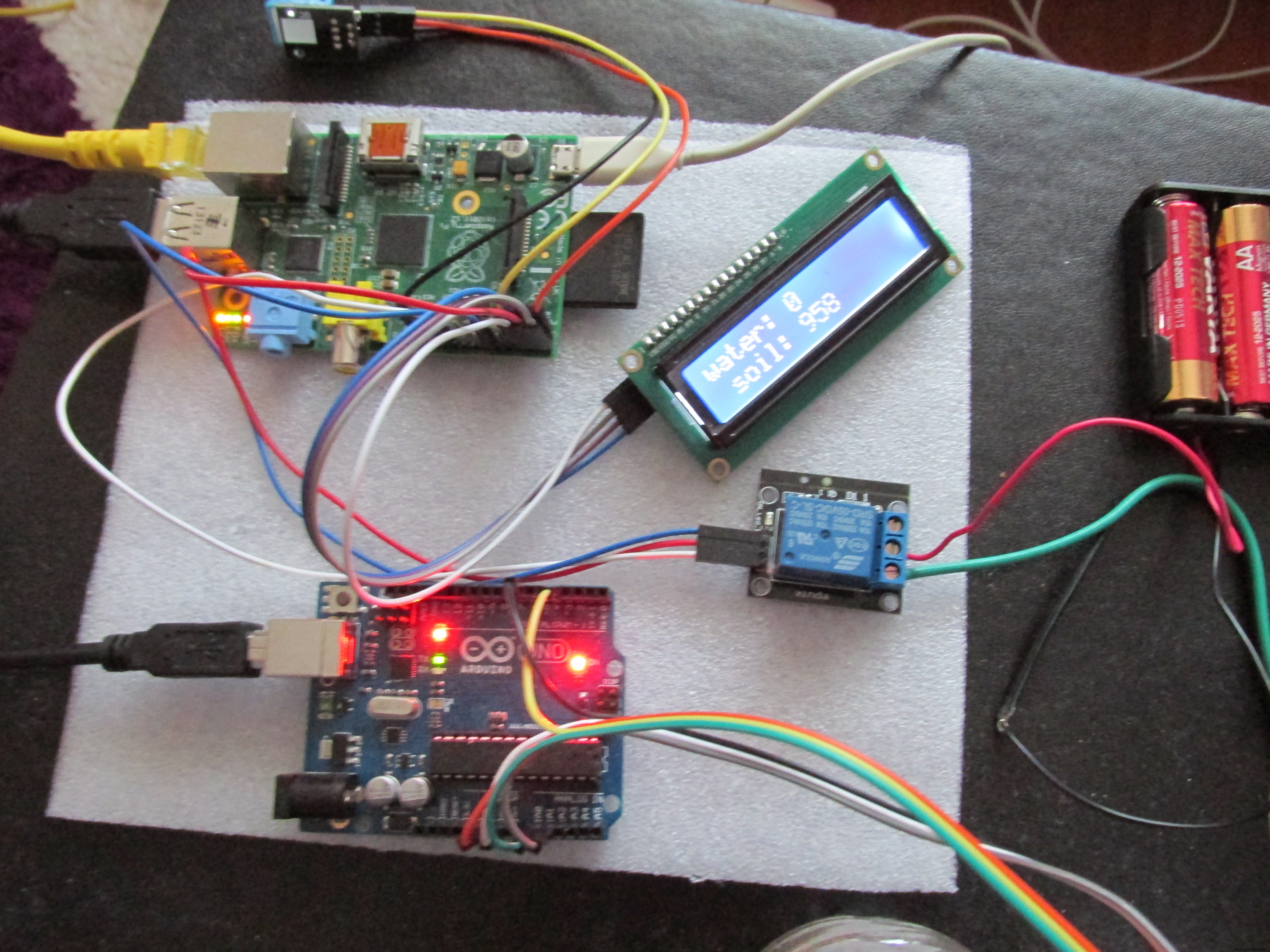 WaterPi: Intelligent Remote Watering & Monitoring for Houseplants