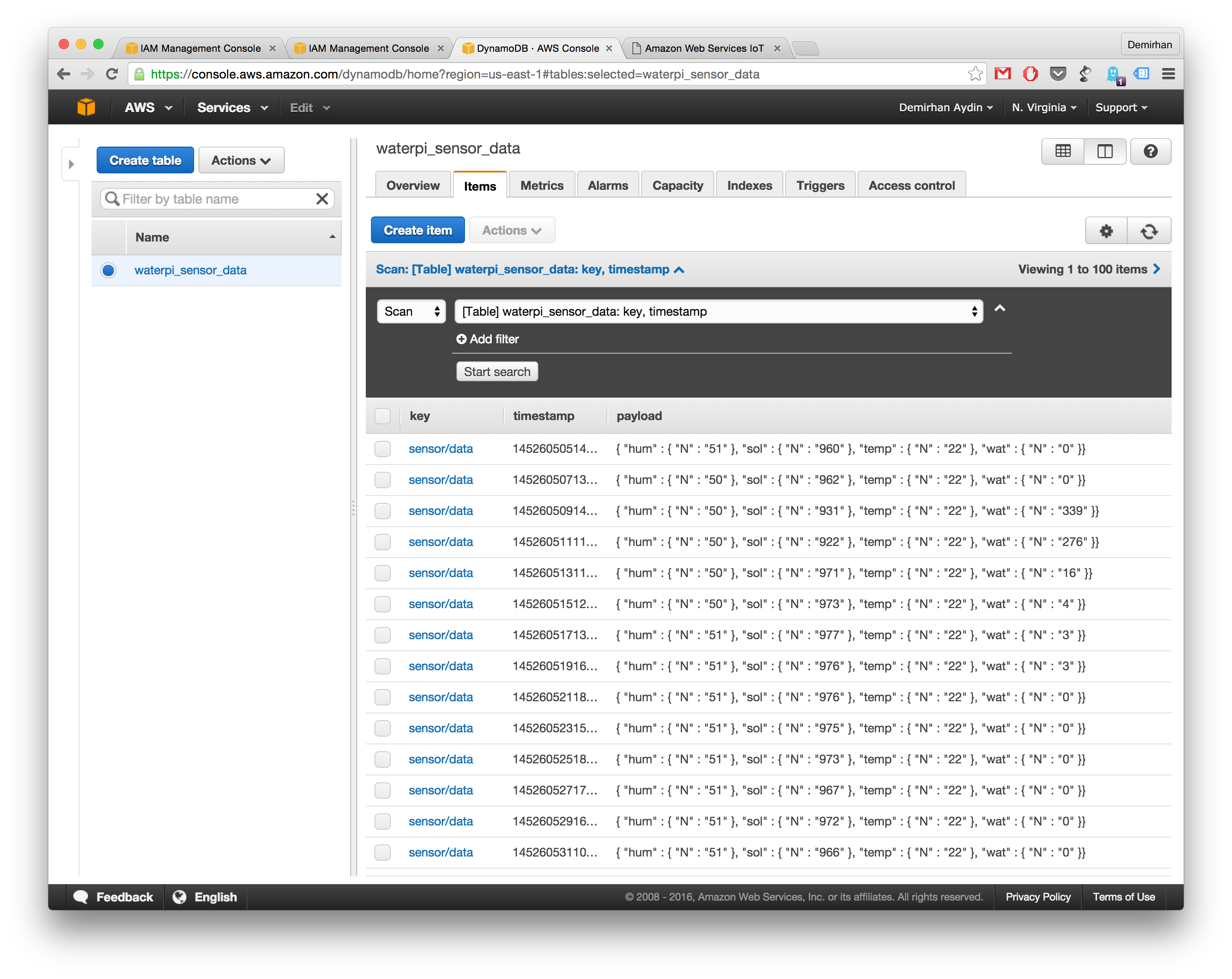WaterPi: Intelligent Remote Watering & Monitoring for Houseplants