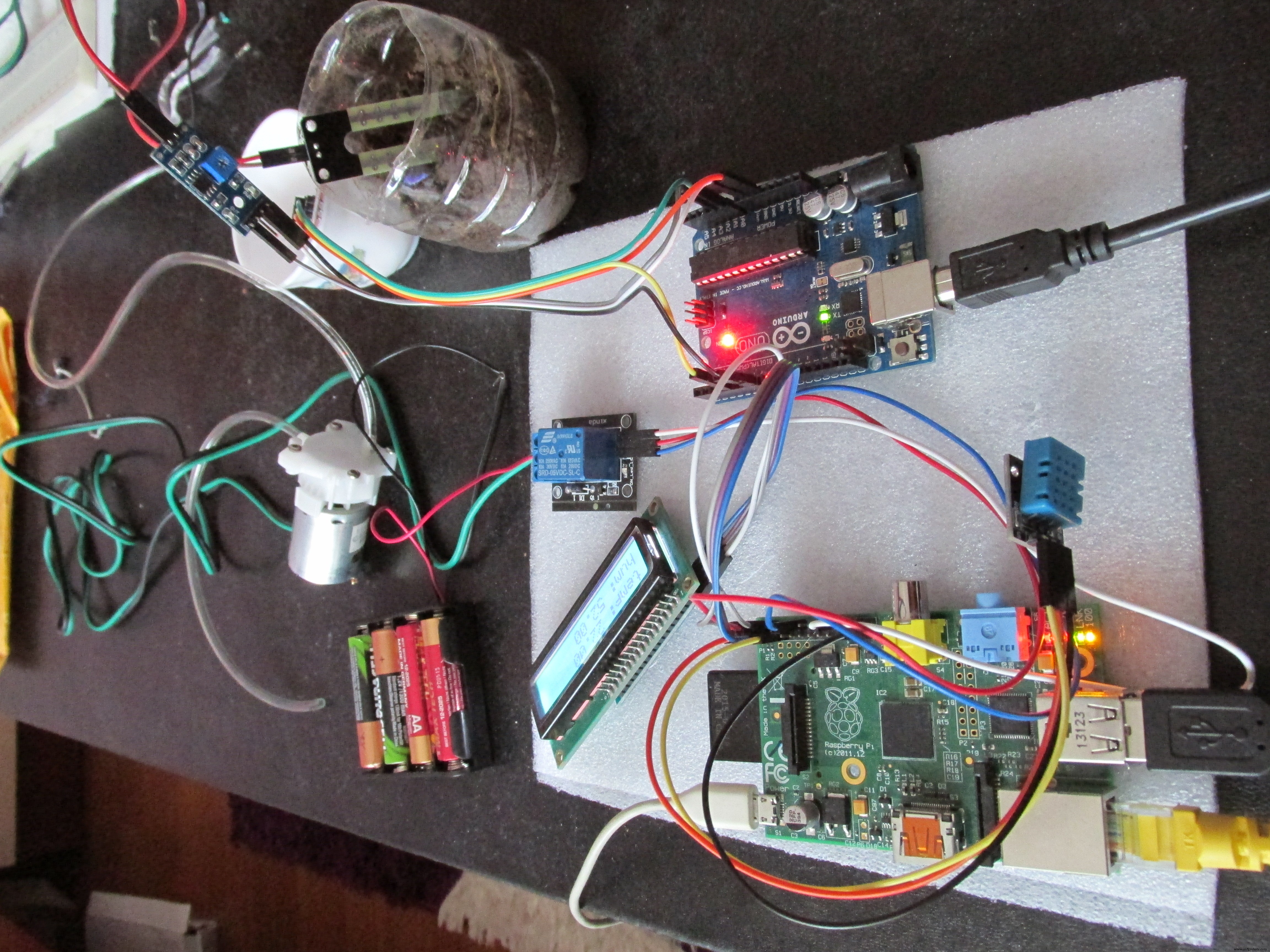WaterPi: Intelligent Remote Watering & Monitoring for Houseplants