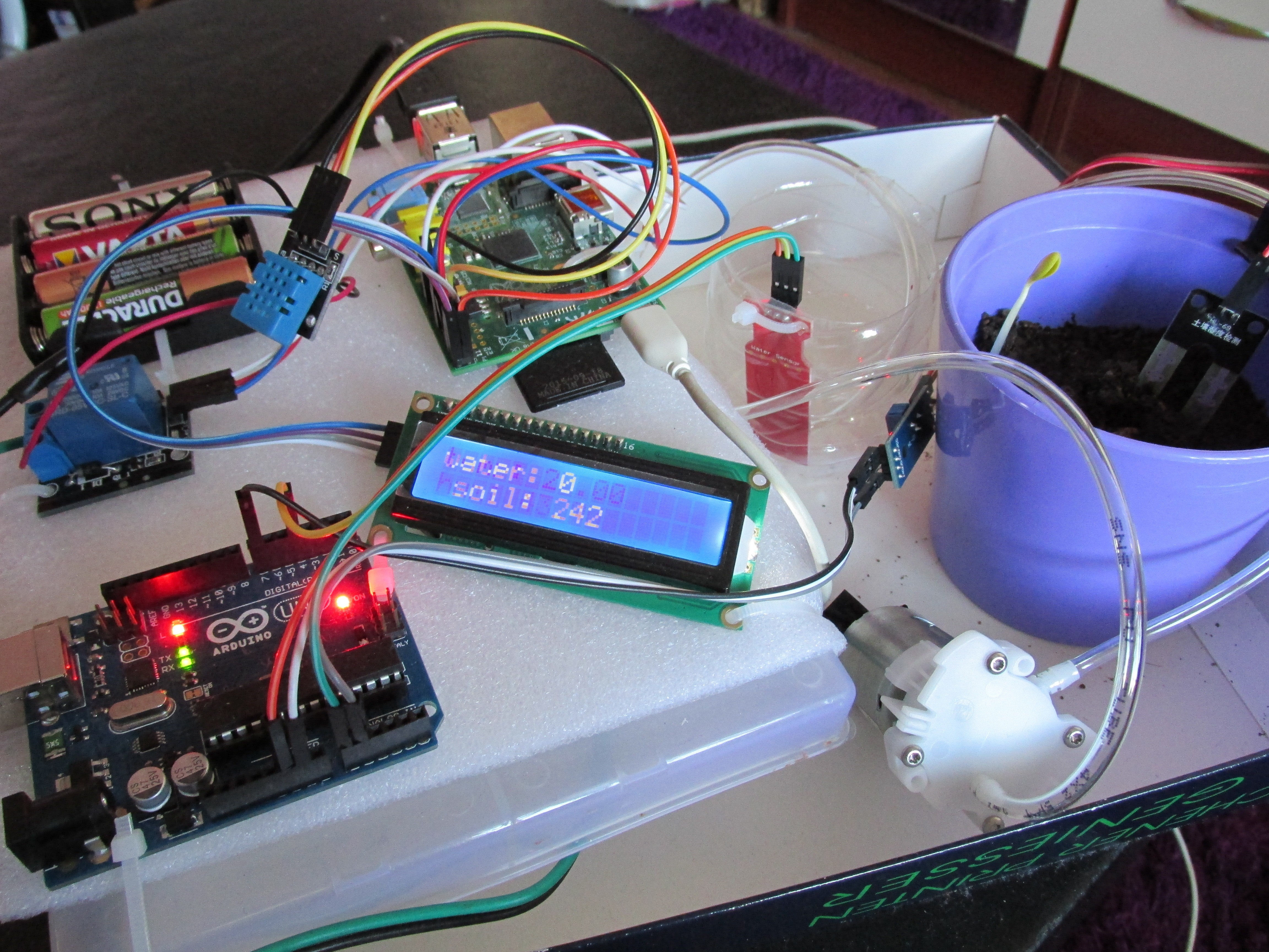 WaterPi: Intelligent Remote Watering & Monitoring for Houseplants