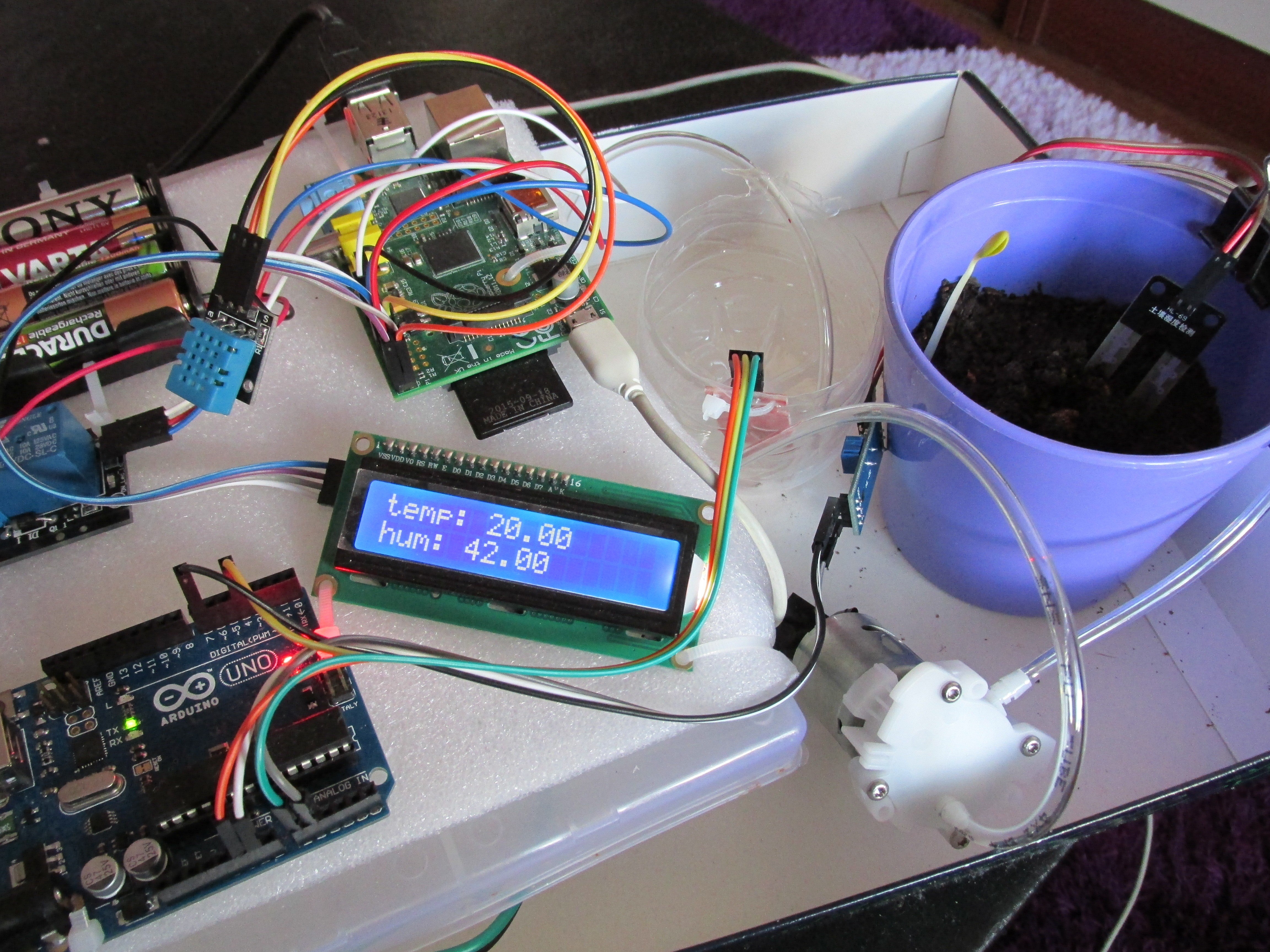 WaterPi: Intelligent Remote Watering & Monitoring for Houseplants