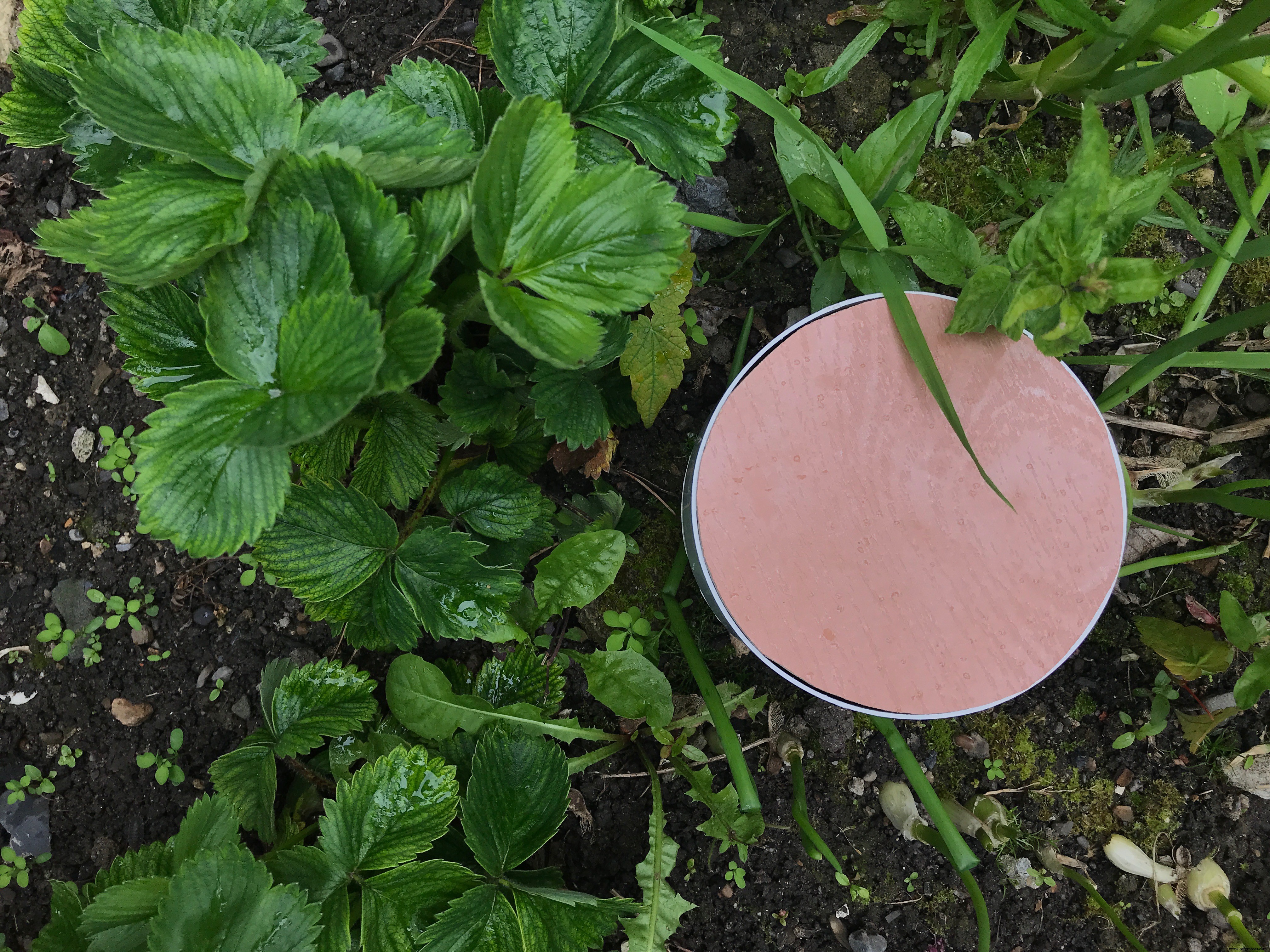 SmartAgro: Advanced IoT Solutions for Precision Farming