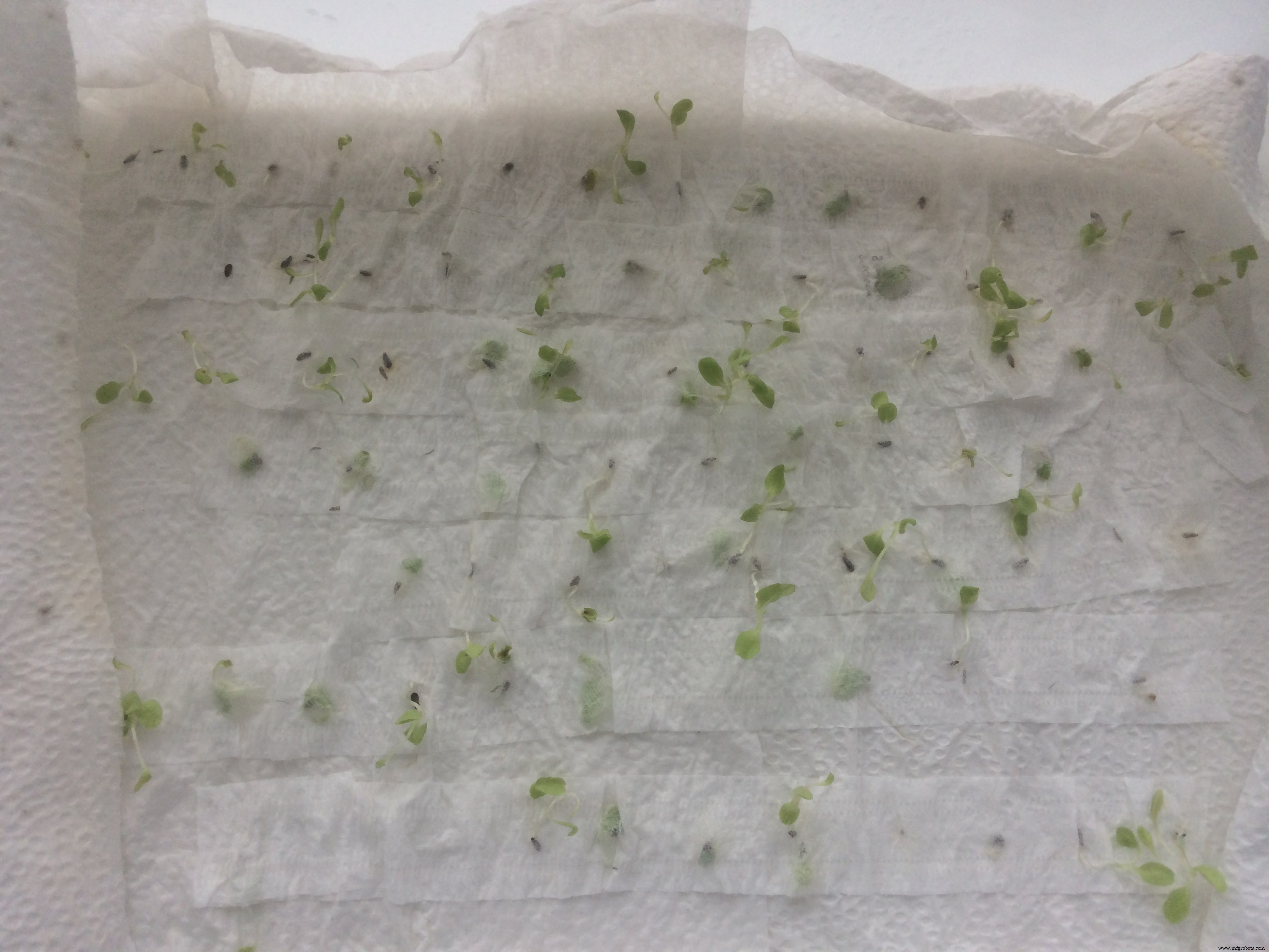 DIY Smart IoT Device: Build with ATmega32U4, ESP8266 & Sensors