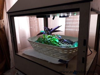 Arduino-Powered Indoor Garden: Smart, Automated Plant Care