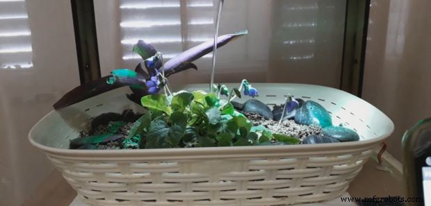 Arduino-Powered Indoor Garden: Smart, Automated Plant Care