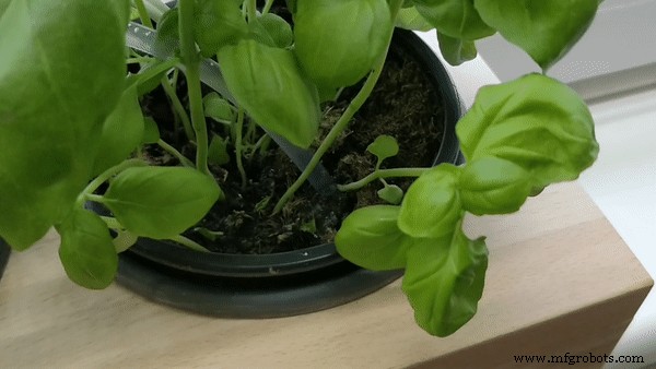 Smart Herb Box Eco System: Alexa‑Enabled Indoor Gardening Kit