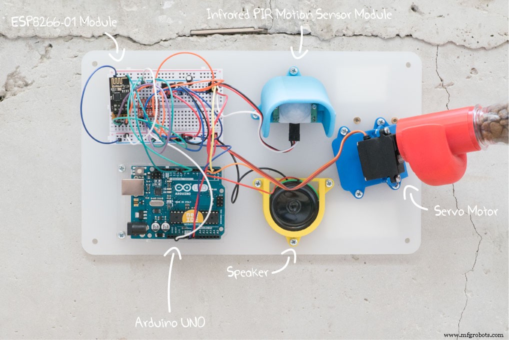 Smart IoT Pet Feeder: Automated Feeding System with Motion Detection
