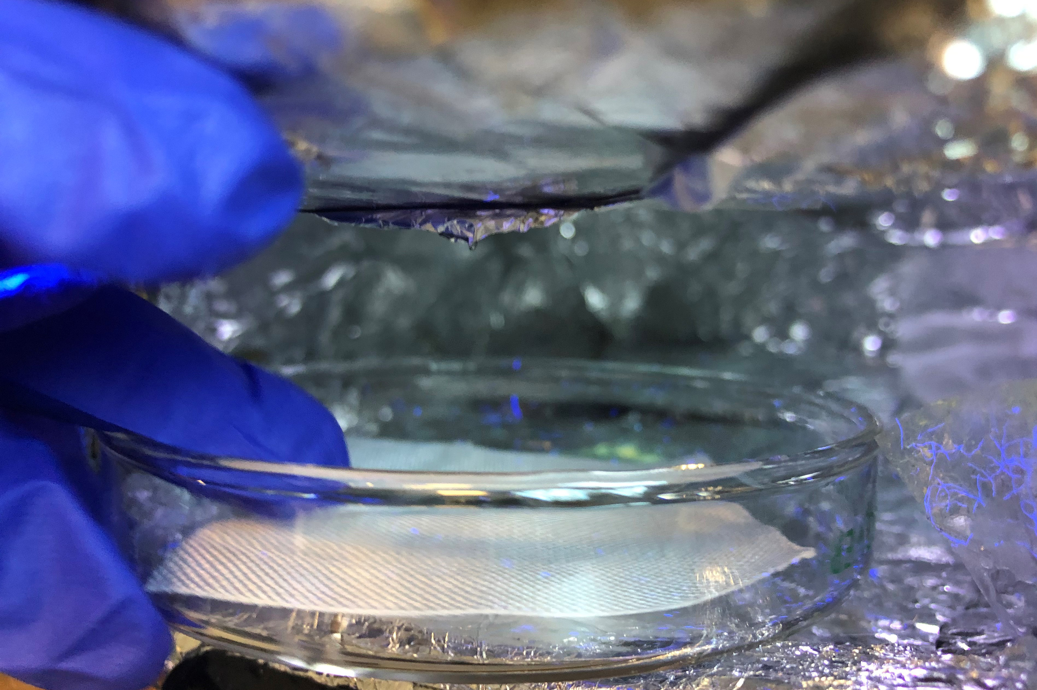 XlynX Materials Unveils BondLynx: Revolutionary Polymer Molecular Glue for Durable Bonding