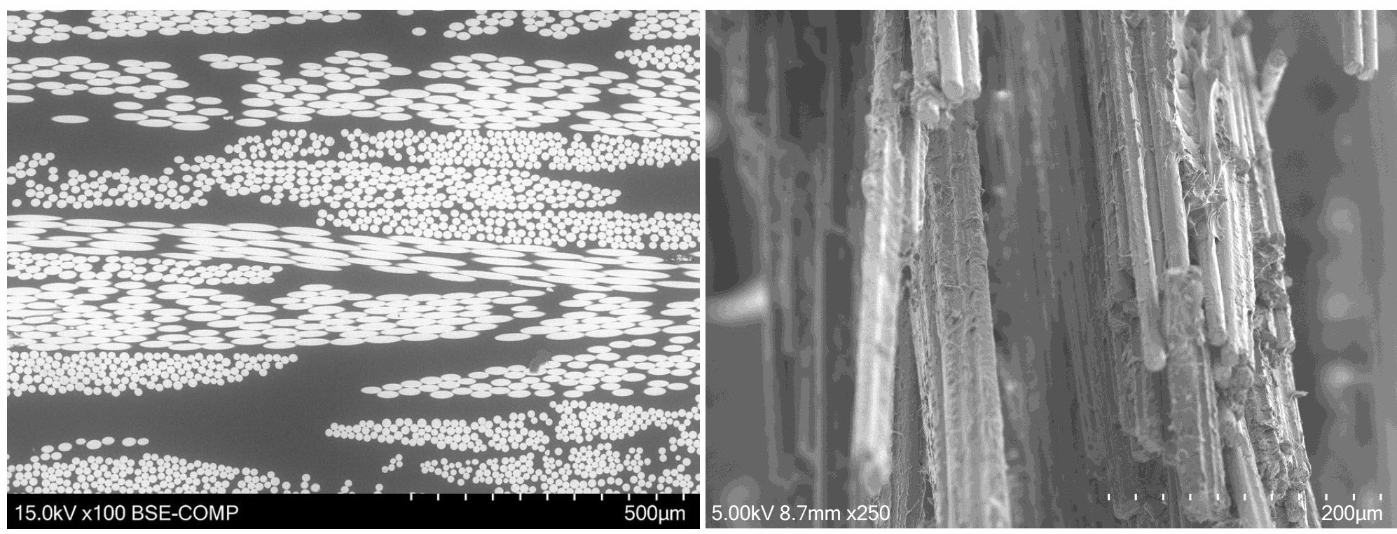 JM Unveils Neomera: New Reactively Polymerized Organosheet Line Boosts Market Opportunities