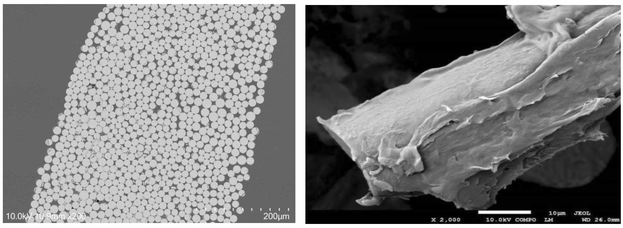 JM Unveils Neomera: New Reactively Polymerized Organosheet Line Boosts Market Opportunities