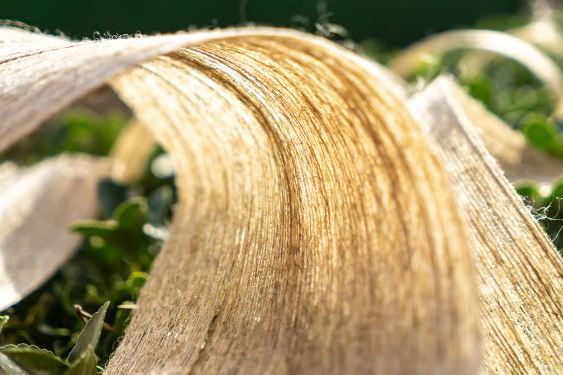 BÜFA Thermoplastic Composites Launches Sustainable B‑PREG Natural Fiber Semi‑Finished Products