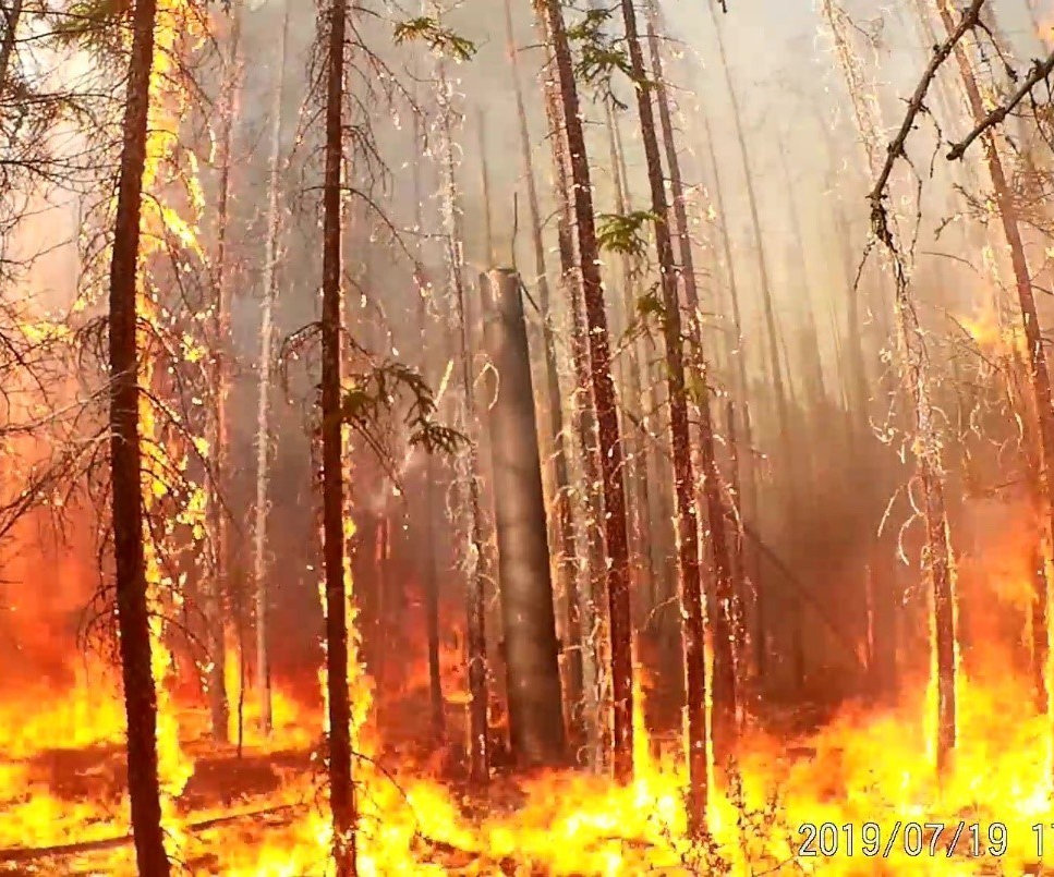 Composite Utility Pole with FRP Fire Shield Passes Intense Forest Fire Test