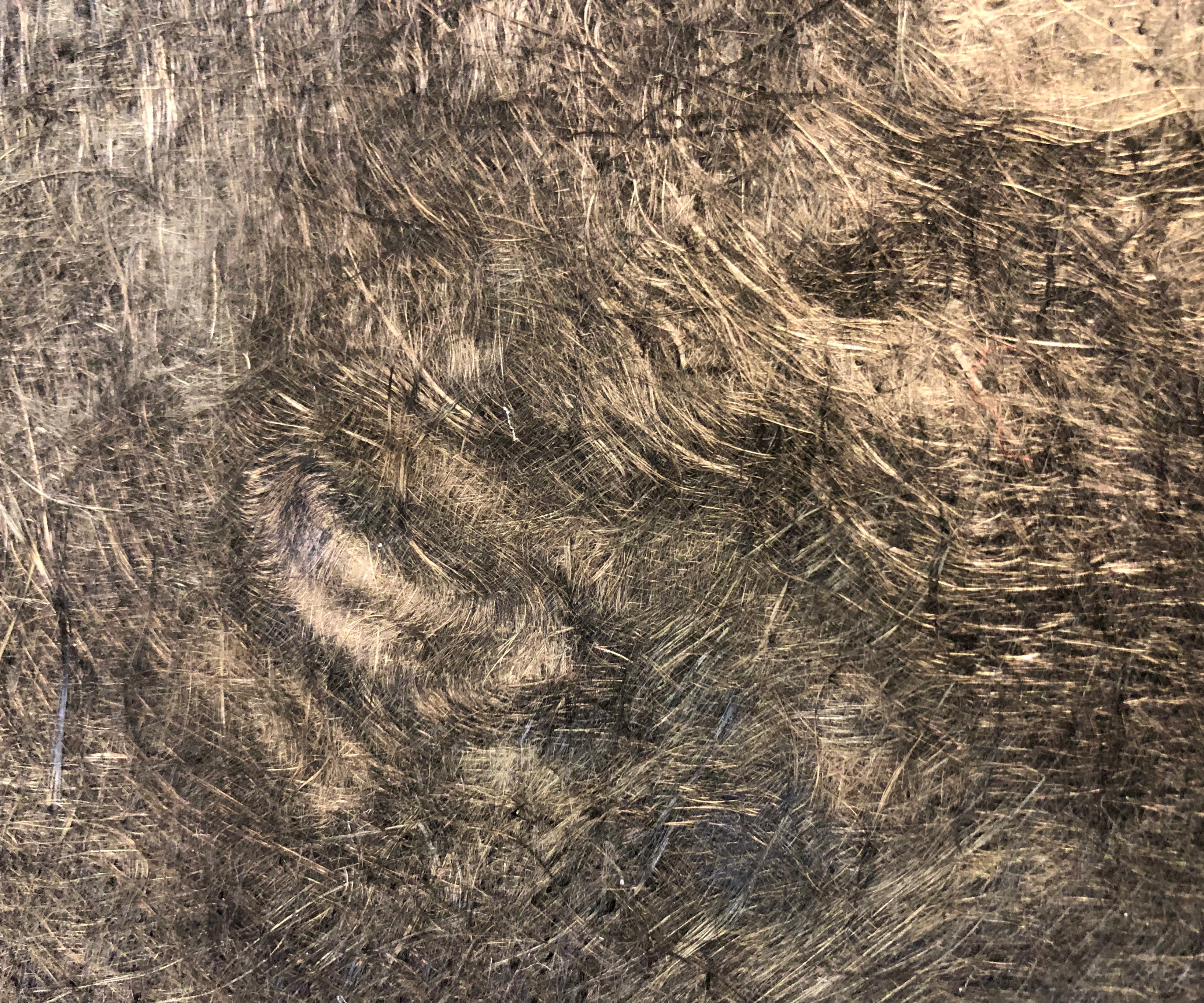 Recycled Carbon Fiber: Current Landscape & Future Outlook