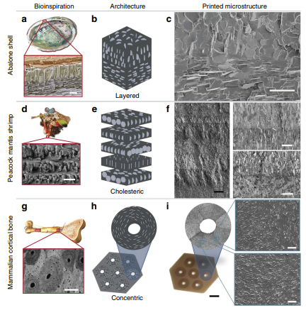 Revolutionizing Composite Manufacturing: Magnetic 3D Printing for Tailored Materials