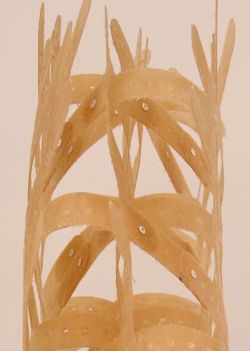 Showcasing Innovative Composite Materials at the 2018 AIA Conference