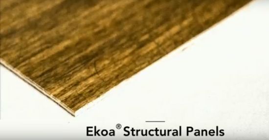 Ekoa TP: A Lignin‑Based Thermoplastic Composite That Beats Wood in Sustainability