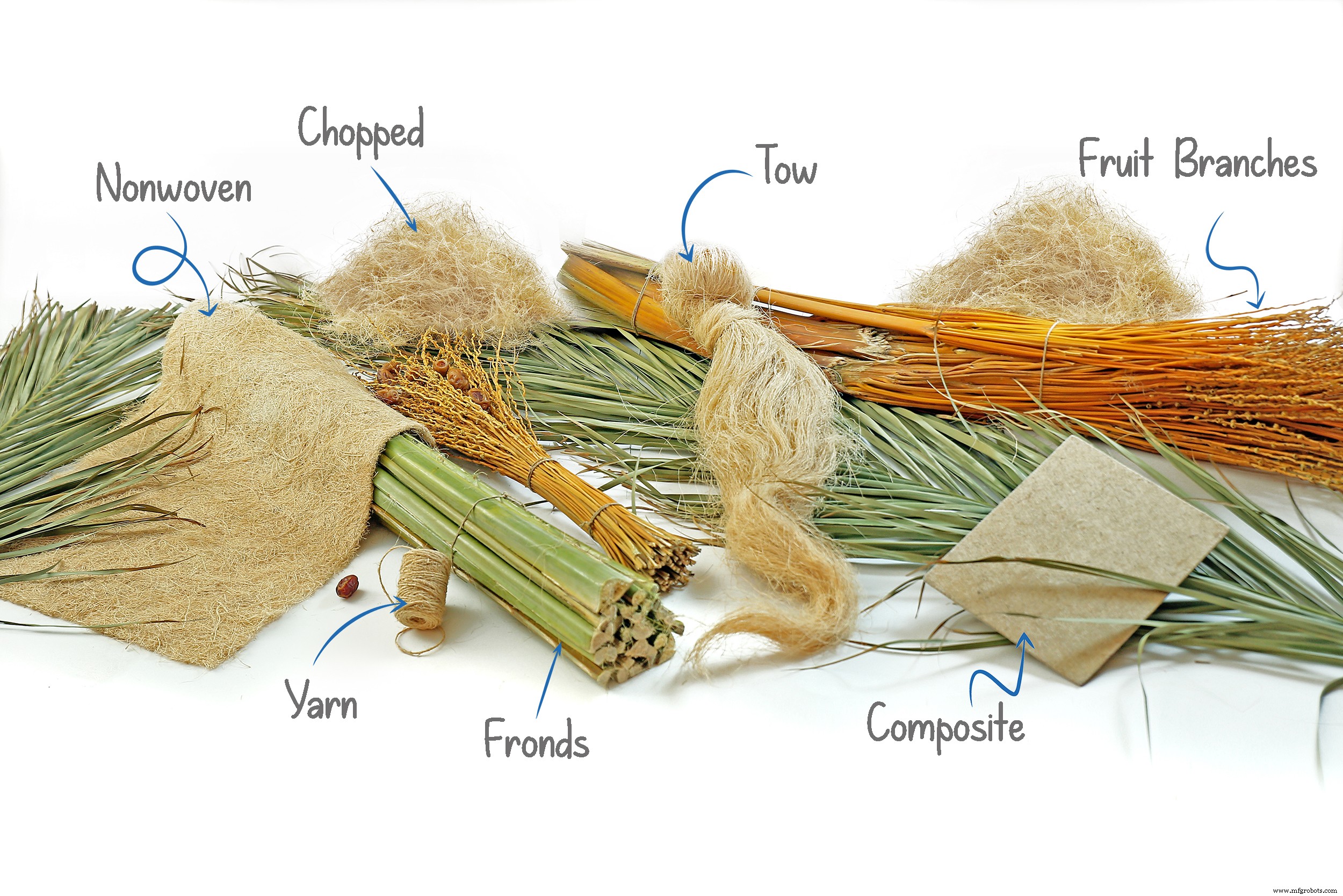 High‑Performance Date Palm Fiber: Sustainable & Cost‑Effective from Agricultural Waste