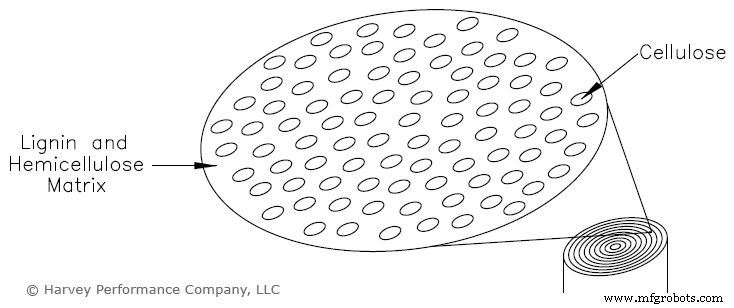 Mastering Wood Characteristics for Precision CNC Woodworking