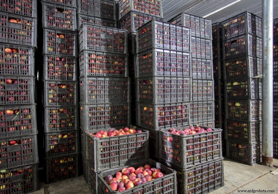 Mastering Automated Warehousing: A Proven AI Playbook for Your Operation