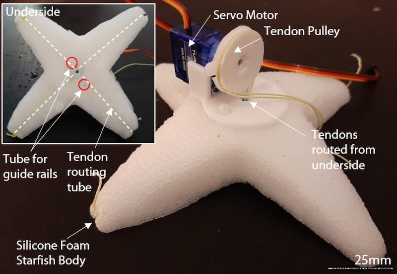MIT CSAIL Introduces Robo-Starfish, Advancing Detailed Study of Marine Life