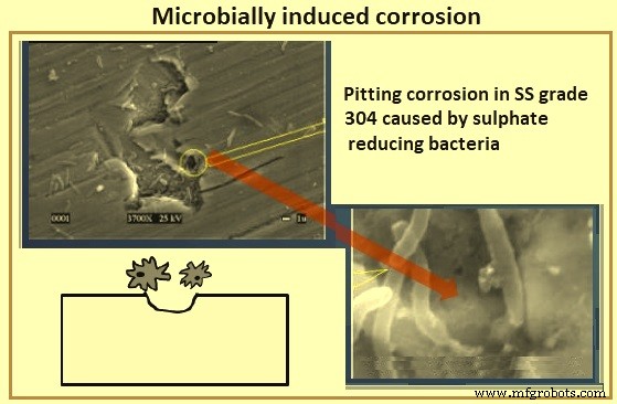 Fundamentals of Iron and Steel Corrosion: Causes, Effects, and Prevention