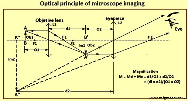 Optical Microscopy: Principles & Applications