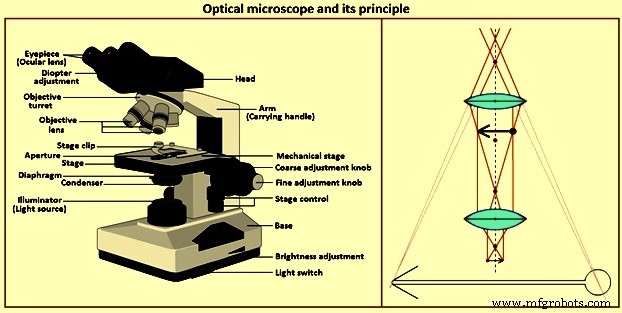 Optical Microscopy: Principles & Applications