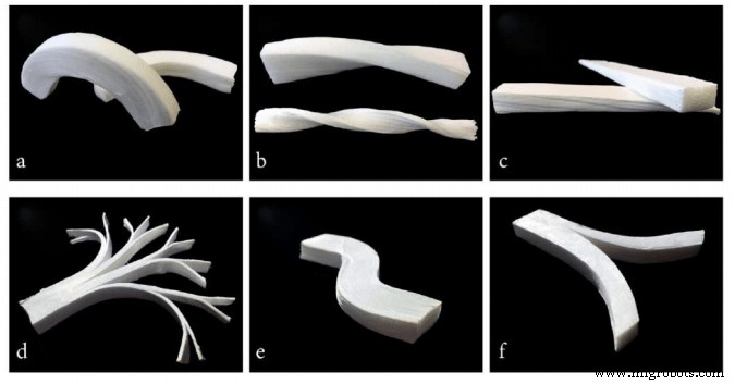 Transparent Wood & Carbon-Neutral Innovations: The Future of Sustainable Materials