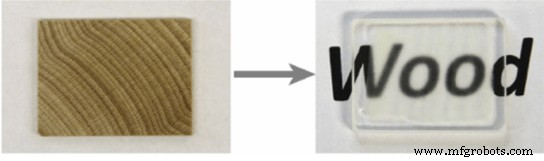 Transparent Wood & Carbon-Neutral Innovations: The Future of Sustainable Materials