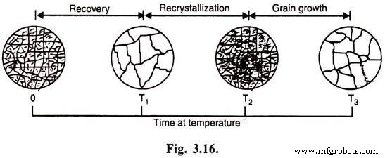 Understanding Recovery, Recrystallization, and Grain Growth in Metal Annealing