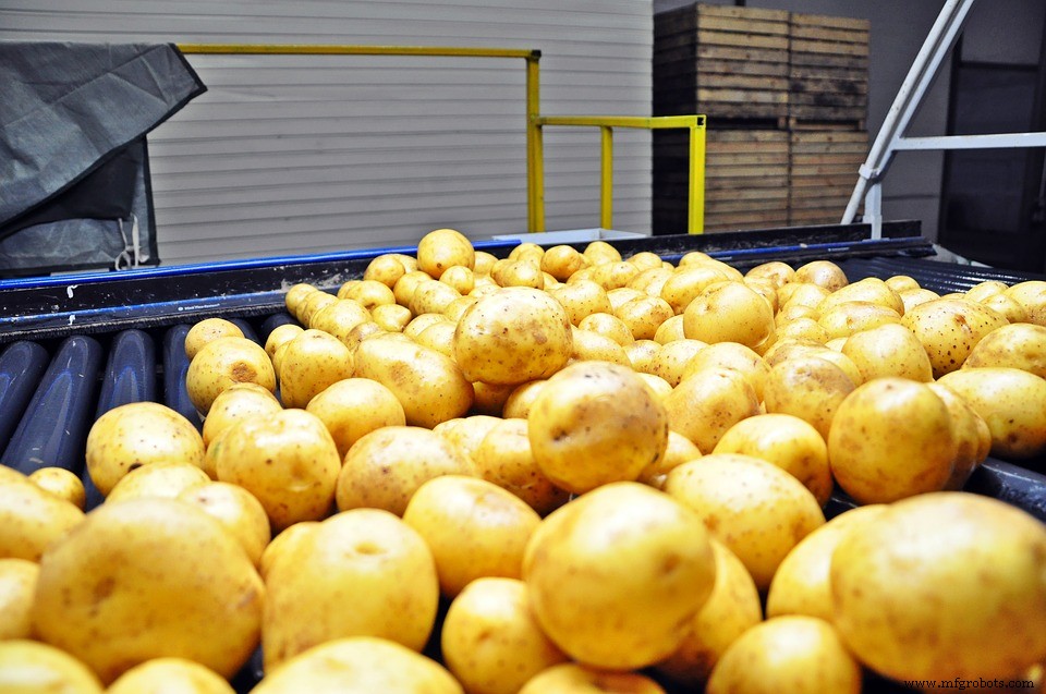 Eliminating Foam During Potato Processing: Expert Strategies