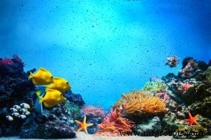 Underwater IoT: Transforming Water Management with Real‑Time Insights